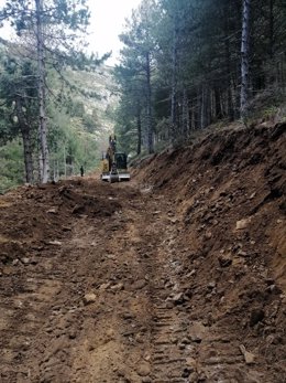 Archivo - Obras en una pista forestal