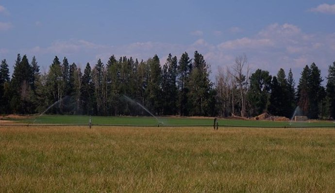 El suministro mundial de madera está amenazado por el desplazamiento de las tierras de cultivo hacia el norte por el cambio climático