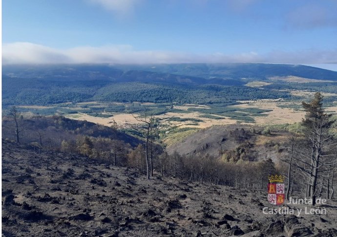 Archivo - Zona afectada por el incendio en Monterrubio de la Demanda (Burgos).