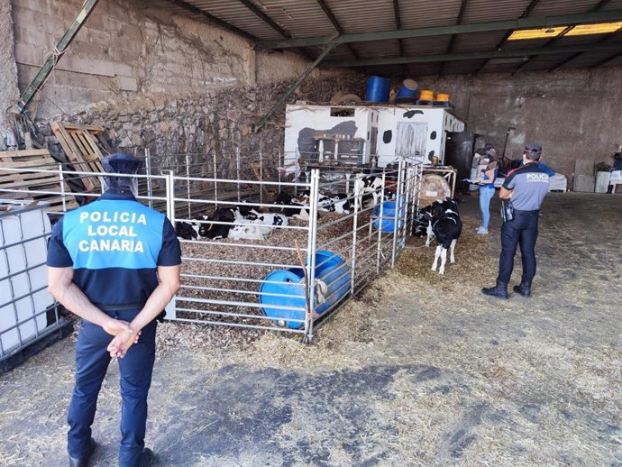 Operación de Policía Canaria y Policía Local en una granja del norte de Tenerife donde se han localizado cadáveres de animales