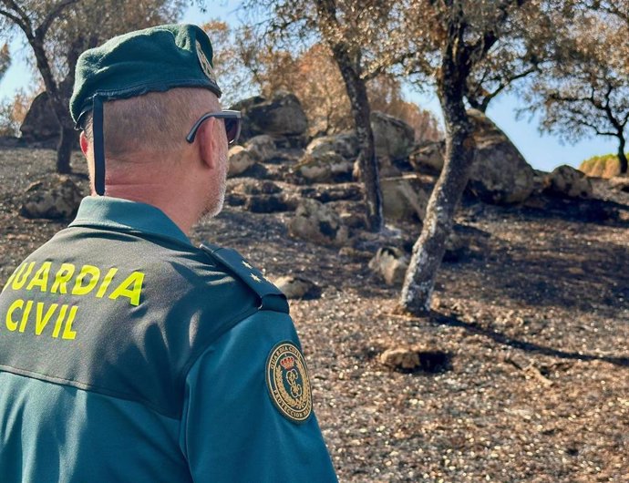 Un agente de la Guardia Civil en la zona afectada por el incendio forestal de la Sierra de Andújar.