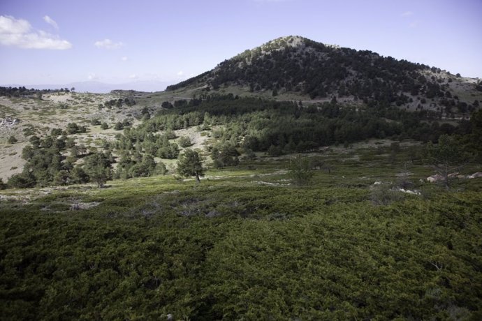 Archivo - Imagen de archivo de campos de Andalucía.