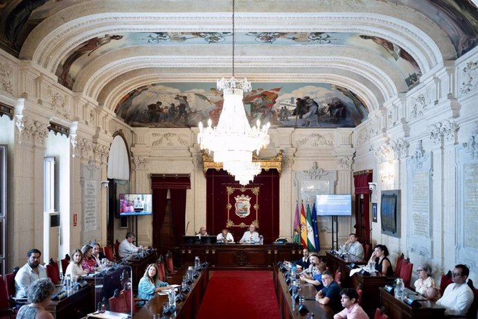 Pleno extraordinario del Ayuntamiento de Málaga