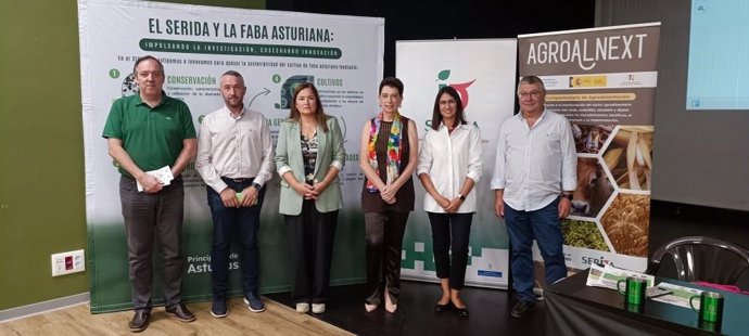 Alejandro Vega; Sergio Suárez; Begoña López; Carmen Díez; Ana Campa y Juan José Ferreira.