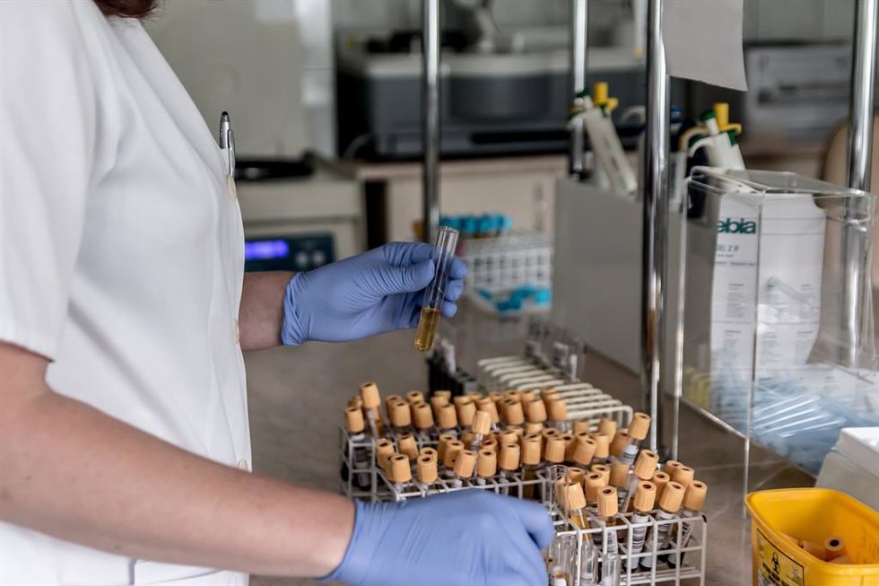 Archivo - Laboratorio de investigación.