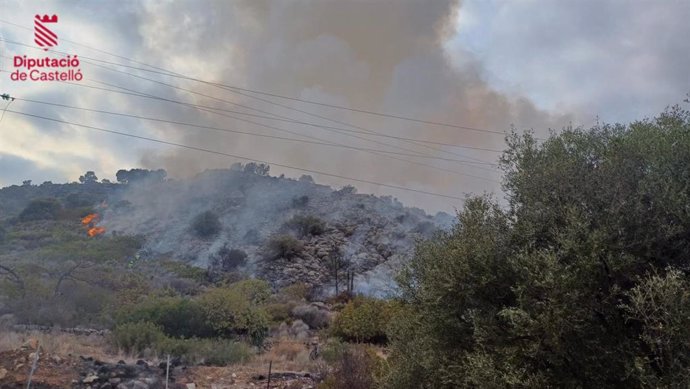 Incendio en Oropesa junto a la AP-7