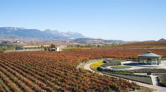 Bodega 'Vivanco' en Briones, La Rioja