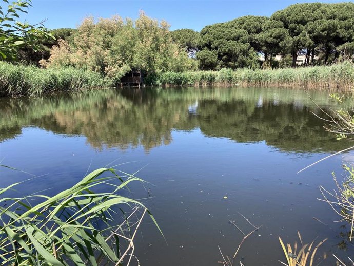 Imagen del humedal de Can Cabanyes, en Granollers (Barcelona).