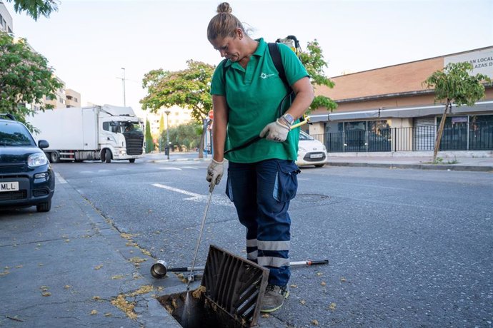 Labores de desinsectación en Mairena del Aljarafe.