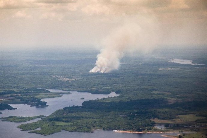 El humo espeso que se observa en los incendios de vegetación en la selva amazónica contiene millones de partículas ultrafinas (diámetros inferiores a 50 nm), que podrían sembrar gotitas en las nubes e intensificar las fuertes lluvias en la atmósfera.