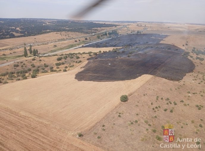 Superficie afectada por el incendio en Buenavista (Salamanca).