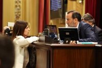 Cañadas (Vox) califica de "tomadura de pelo" el pleno de remoción de Le Senne