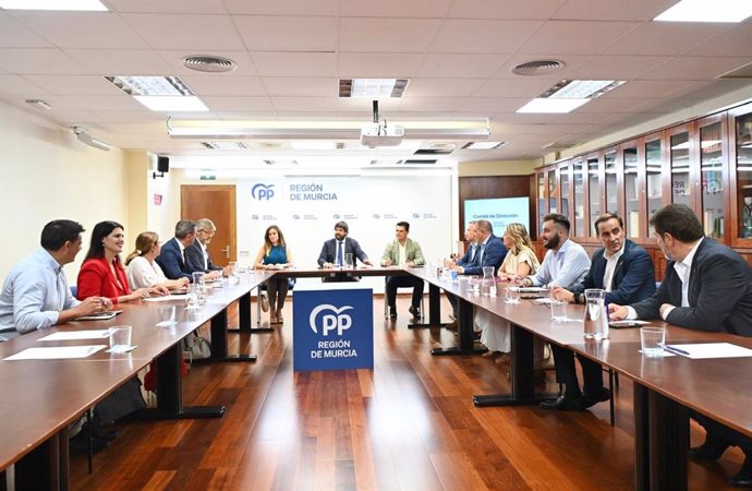 Imagen de la reunión del Comité de Dirección del PPRM