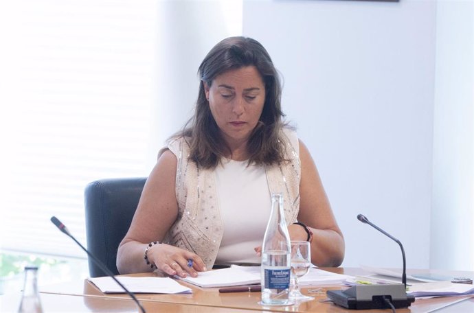 Archivo - La vicepresidenta primera de la Mesa de la Asamblea por el Partido Popular, Ana Belén Millán, durante la primera reunión de la XIII Legislatura del Gobierno de la Comunidad de Madrid, a 29 de junio