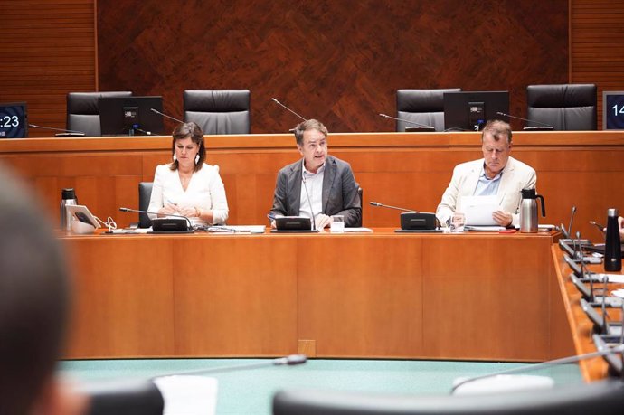 Intervención del consejero de Hacienda, Interior y Administración Pública. Roberto Bermúdez de Castro, en la Comisión Especial de Estudio sobre el nuevo sistema de financiación autonómica.