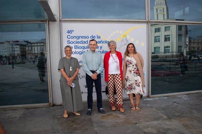 La presidenta del comité organizador del congreso, María Mayán; los presidentes saliente y entrante de la SEBBM, Isabel Varela y Antonio Ferrer, respectivamente; y la vocal de congresos de la sociedad, Guadalupe Sabio