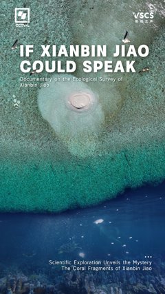 Comunicados Internacional