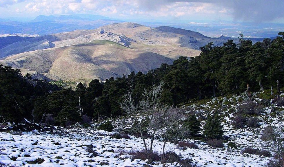 Vista del Parque Nacional Sierra de las Nieves