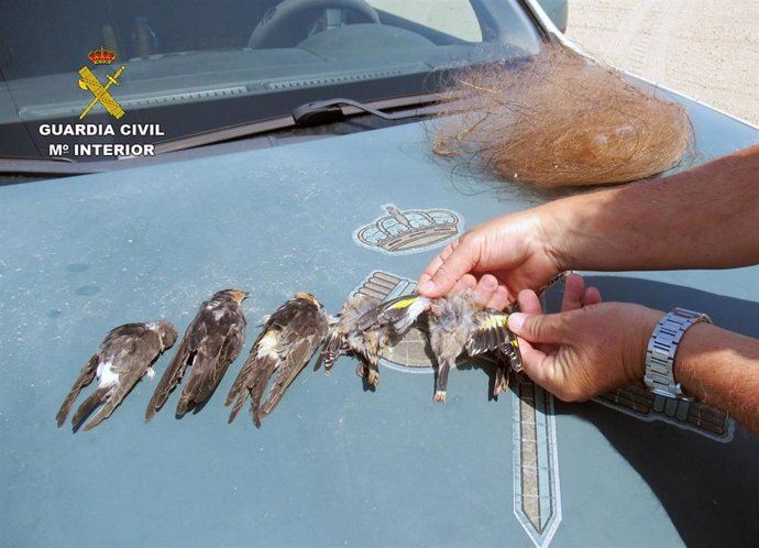 Aves atrapadas en la red