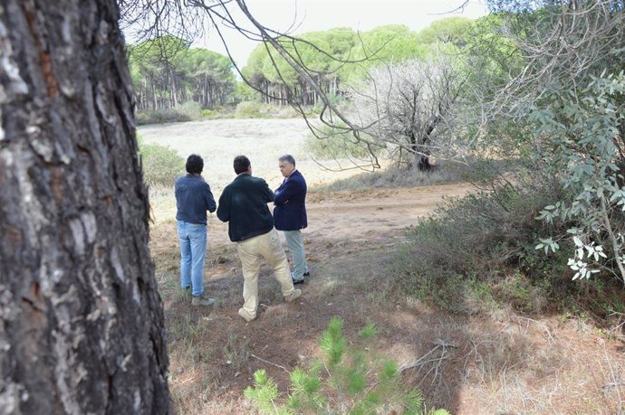 Zona prevista para la recuperación de lagunas de Doñana, en Almonte (Huelva).