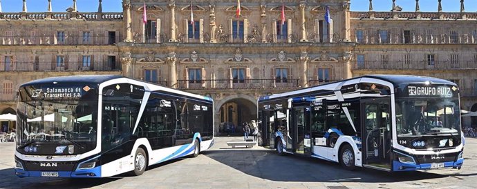 Autobuses de Salamanca.