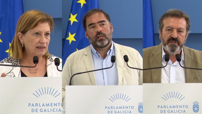 Elena Espinosa (PSdeG), Alberto Pazos Couñago (PPdeG) y Luís Bará (BNG)