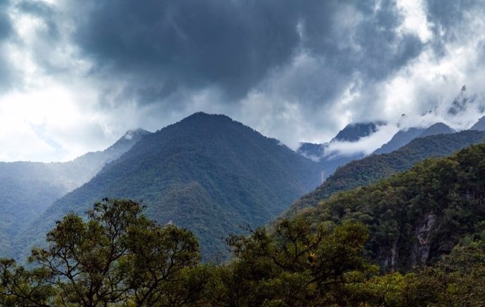 Bosque Nuboso Amazónico en Perú, vista panorámica de la selva tropical en la vertiente noreste de la cordillera de los Andes.