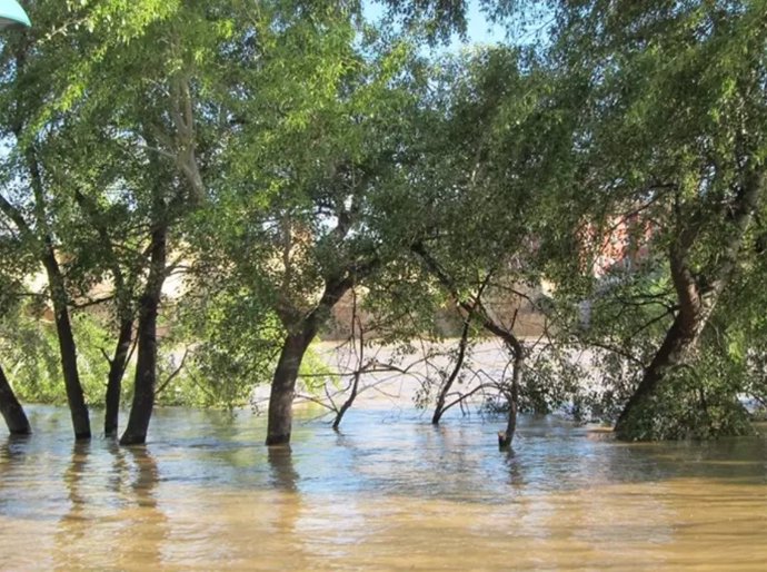 Archivo - Crecida de un río en imagen de archivo.