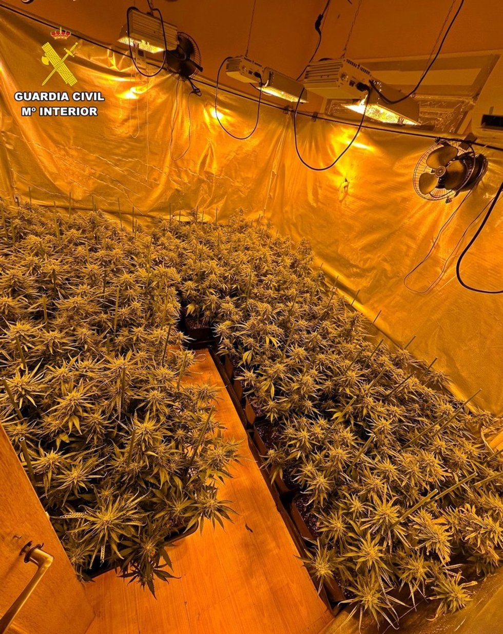 Plantas intervenidas en Puebla de la Calzada