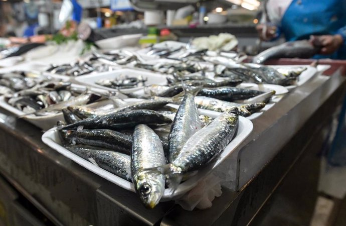 Archivo - Sardinas en las pescaderías de la Praza de Lugo, a 22 de junio de 2023, en A Coruña, Galicia (España).