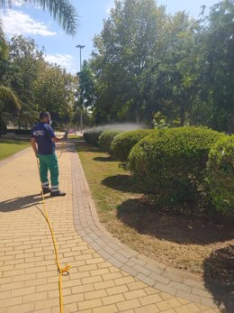 Fumigación en un parque de Alcalá de Guadaría, en Sevilla.