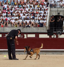 Unidad Especial de Guías Caninos de la Policía Nacional