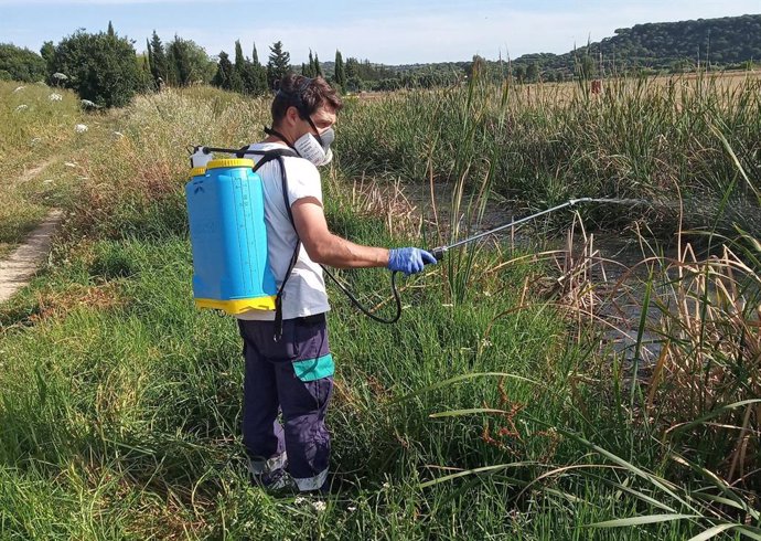 Archivo - CádizAlDía.- Diputación inicia los tratamientos frente a larvas de mosquitos en La Janda