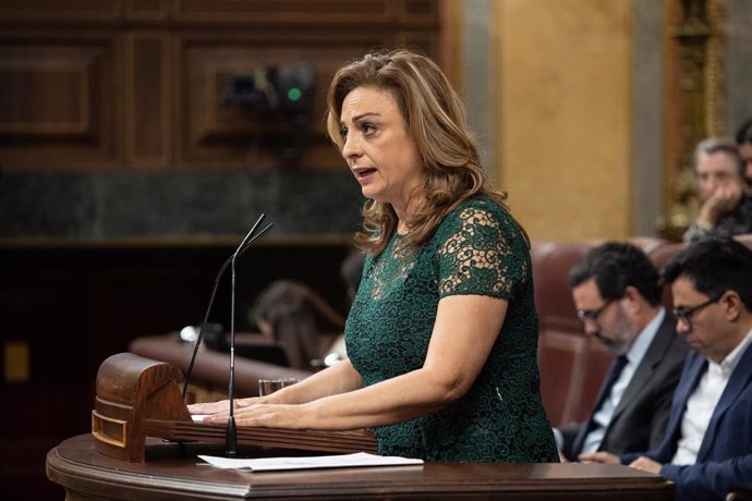 Archivo - La diputada de Coalición Canaria Cristina Valido interviene durante una sesión plenaria, en el Congreso de los Diputados, a 14 de marzo de 2024, en Madrid (España).