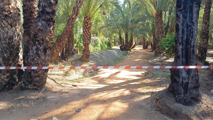 Jardines cerrados ante la alerta por altas temperaturas (imagen de archivo)