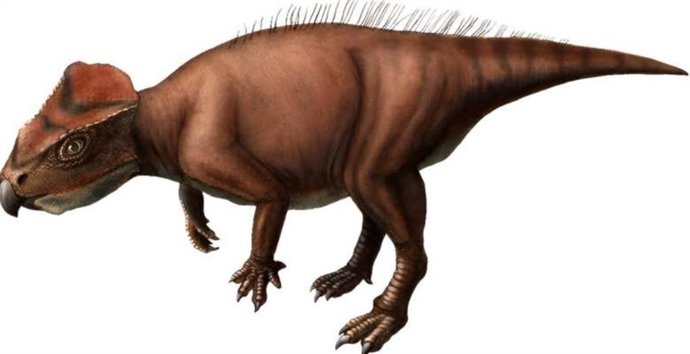 Latam.-Ciencia.-Nueva pequeña especie de dinosaurio con cuernos