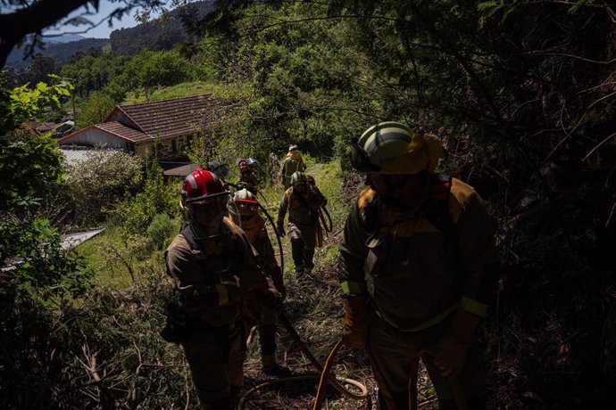 Archivo - Agentes de los equipos de bomberos actuando en un incendio 