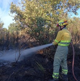 Trabajos de extinción en el incendio de Villapodambre (León).