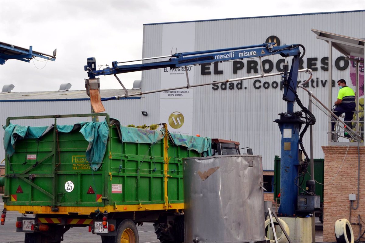 El relevo generacional, talón de aquiles de las cooperativas agroalimentarias de C-LM