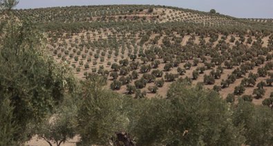 Andalucía