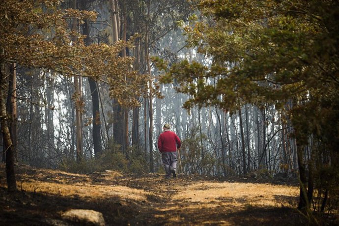 Incendio en Crecente (Pontevedra)