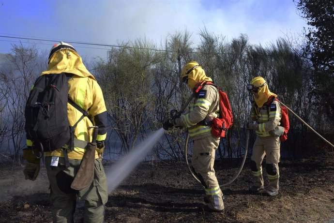 Varios bomberos tratan de apagar el fuego durante el incendio forestal en la parroquia de Oseira, a 20 de agosto de 2024, en San Cristovo de Cea, Ourense, Galicia (España). 