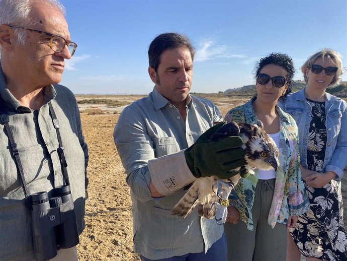 El delegado territorial de Sostenibilidad y Medio Ambiente, Pedro Yórquez, durante una suelta al medio natural en Palos de la Frontera (Huelva) de un ejemplar de águila pescadora.