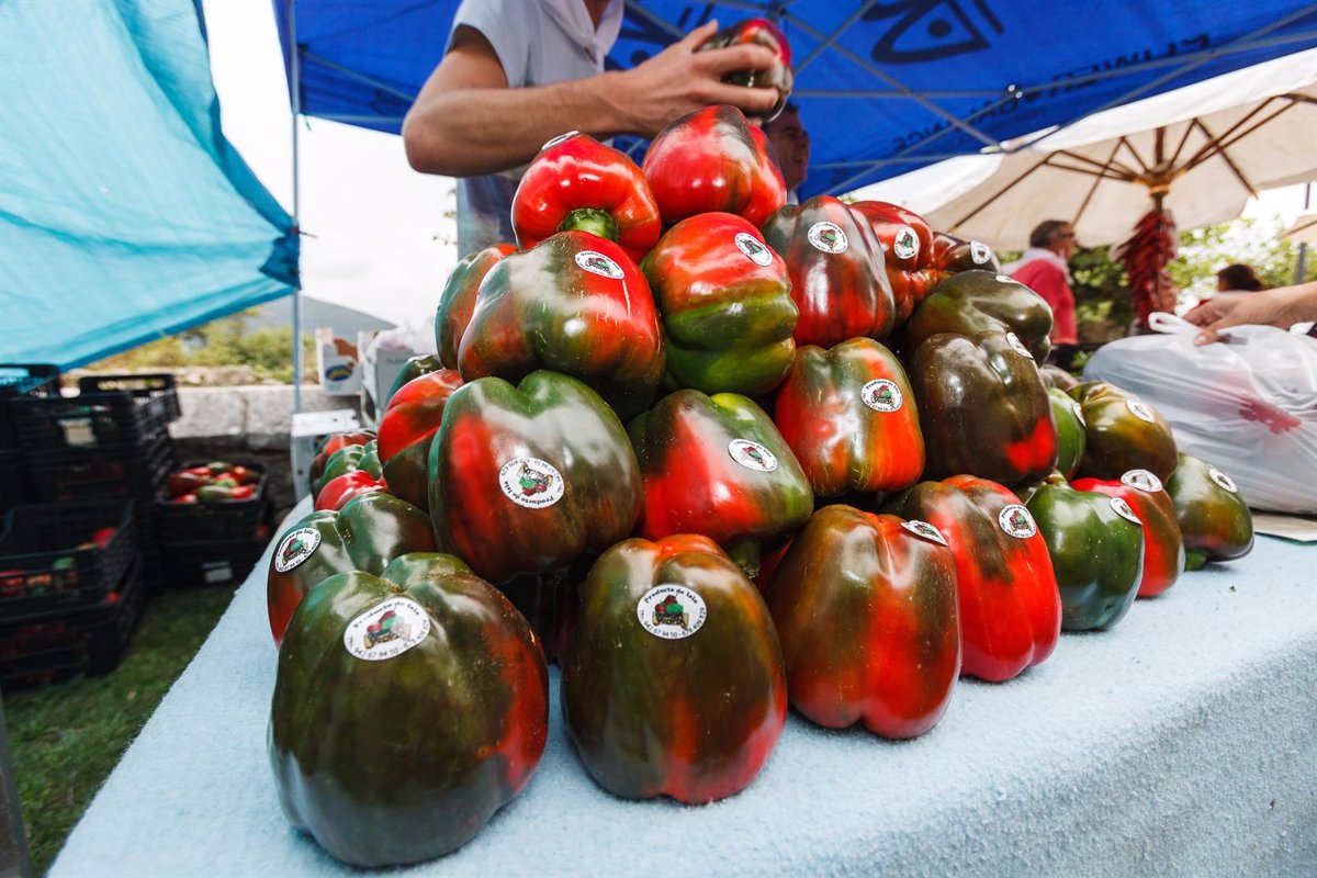 Más de un centenar de productores participarán este sábado en la Feria del Pimiento de Isla