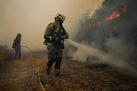 La superficie afectada por el fuego de Crecente aumenta a 300 hectáreas y hay indicios de que fue intencionado