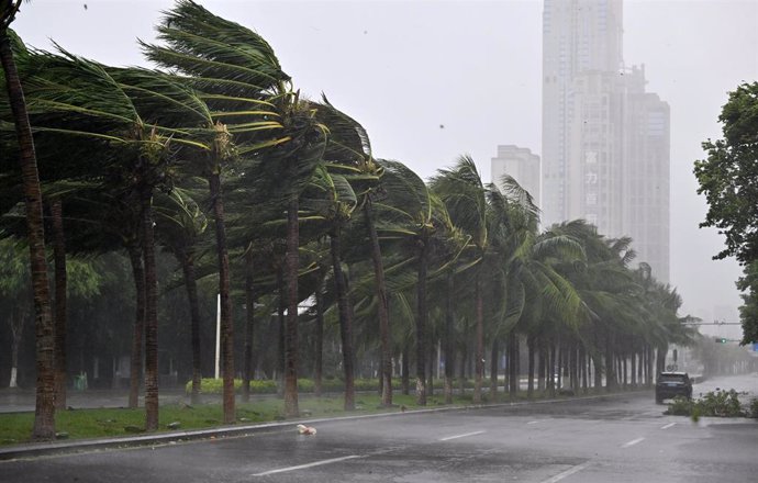 Arboles golpeados por el viento en la ciudad de Haikou, capital de la provincia china de Hainan