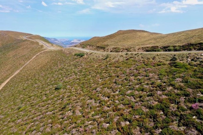 La Vuelta y Land Life plantarán 700 árboles en los alrededores de Picón Blanco (La Rioja)