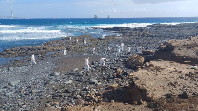 Tareas de limpieza en la costa de Gran Canaria