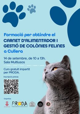 Cullera crea un carnet d'alimentadors de colònies felinas per a augmentar el seu control i benestar