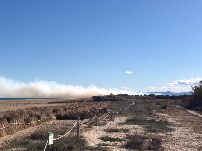 Archivo - Imagen de archivo de uno de los incendios en El Saler